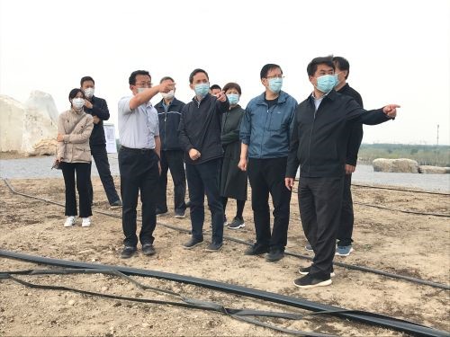 卢彦带队调研温榆河公园朝阳示范区建设情况