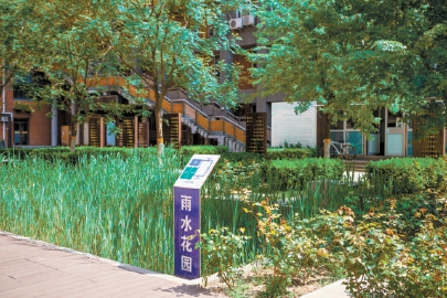 北京交通大学电气楼和逸夫楼夹角处的“雨水花园”.jpg