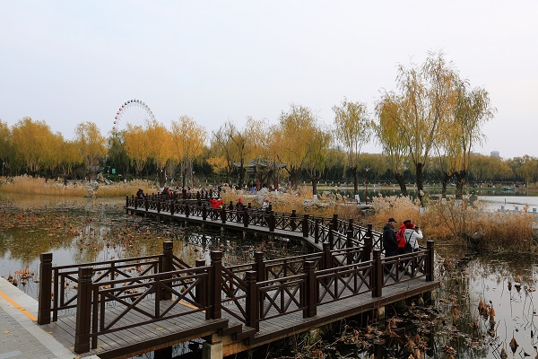 图1.jpg