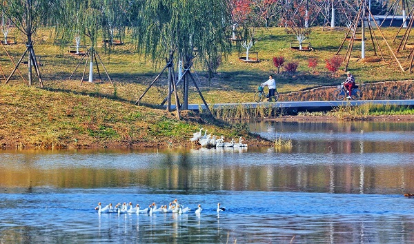 图片2.jpg 图片2.jpg