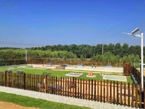 05.jpg